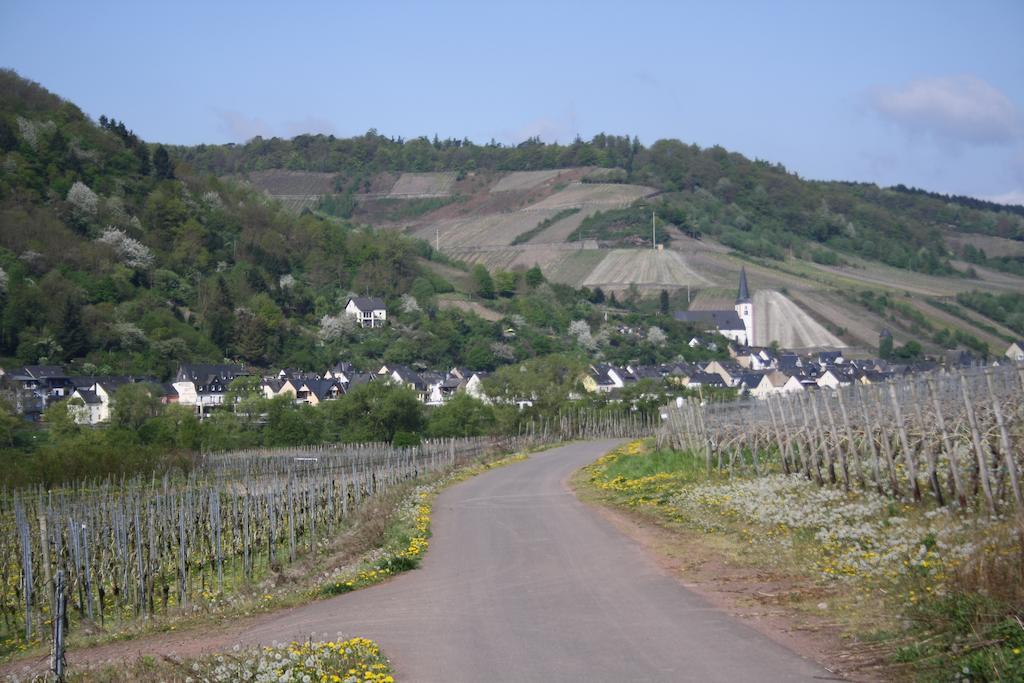 Weingut Goeres Hotel Briedel Luaran gambar